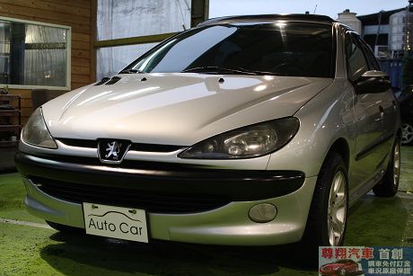 Peugeot 寶獅 206 照片2