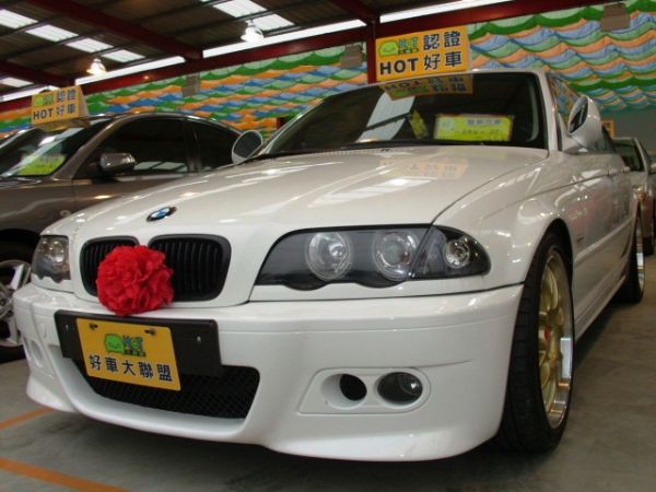 2002 BMW 318 1.9 白 照片1