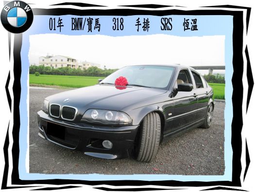 BMW/寶馬 318i 照片1