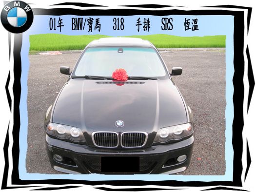 BMW/寶馬 318i 照片2