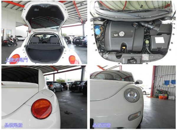 VW 福斯 Beetle 金龜車白1.6 照片5