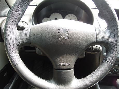 2004年Peugeot 寶獅 206  照片5