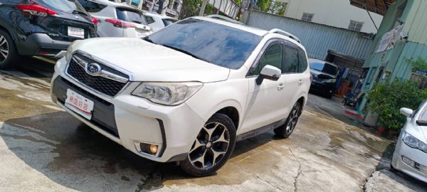 FORESTER Premium XT 照片1