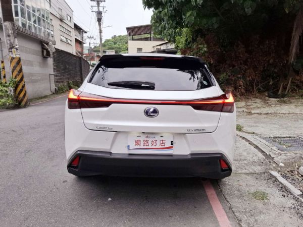 2020年LEXUS UX250H  照片10