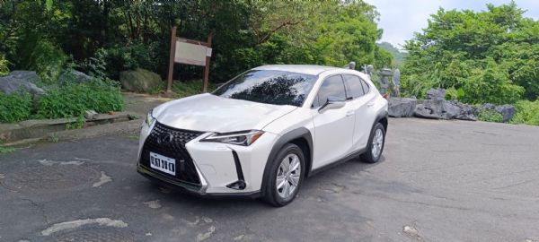 2020 Lexus UX 250h  照片1