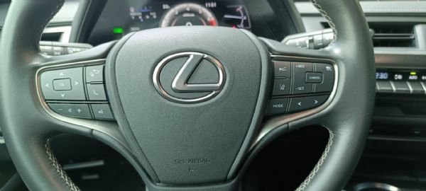 2020 Lexus UX 250h  照片7